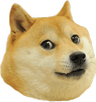 DOGE ON BNB Logo