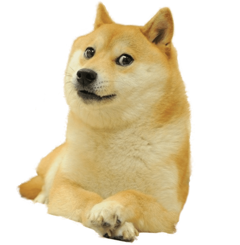 Doge